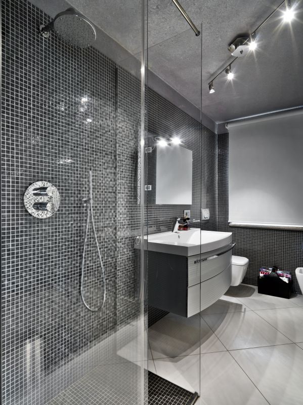 Contemporary Shower Enclosure